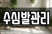 수심발관리