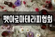 펫아로마테라피협회