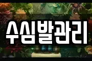 수심발관리