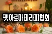 펫아로마테라피협회