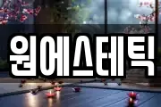 원에스테틱