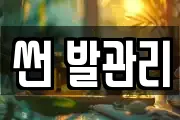 썬 발관리