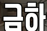 금하