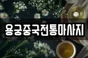 용궁중국전통마사지
