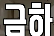 금하