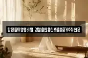 탐정들의영업비밀,경찰출신흥신소불륜증거수집전문