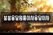 붕붕용달원룸이사용달이사