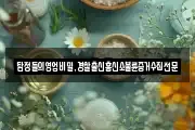 탐정들의영업비밀,경찰출신흥신소불륜증거수집전문