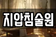 지압침술원