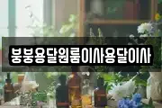 붕붕용달원룸이사용달이사