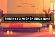 탐정들의영업비밀,경찰출신흥신소불륜증거수집전문