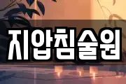 지압침술원