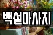 백설마사지
