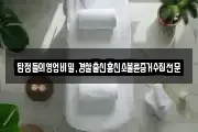 탐정들의영업비밀,경찰출신흥신소불륜증거수집전문