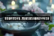 탐정들의영업비밀,경찰출신흥신소불륜증거수집전문