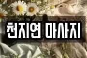 경남 창원시 진해구 송학동 마사지, 지압등 업체정보