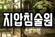 지압침술원