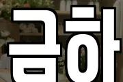 금하