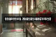 탐정들의영업비밀,경찰출신흥신소불륜증거수집전문