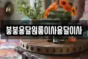 붕붕용달원룸이사용달이사