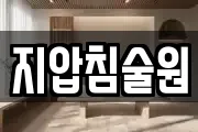 지압침술원