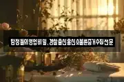 탐정들의영업비밀,경찰출신흥신소불륜증거수집전문