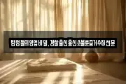 탐정들의영업비밀,경찰출신흥신소불륜증거수집전문