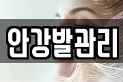 안강발관리
