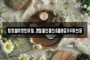 탐정들의영업비밀,경찰출신흥신소불륜증거수집전문