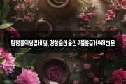 탐정들의영업비밀,경찰출신흥신소불륜증거수집전문