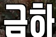 금하
