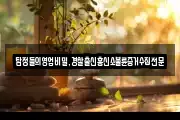 탐정들의영업비밀,경찰출신흥신소불륜증거수집전문