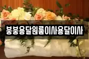 붕붕용달원룸이사용달이사