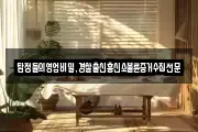 탐정들의영업비밀,경찰출신흥신소불륜증거수집전문