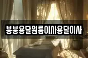 붕붕용달원룸이사용달이사