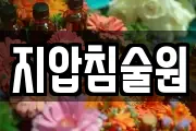 지압침술원