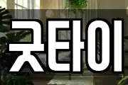 굿타이