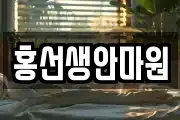 홍선생안마원