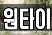 원타이