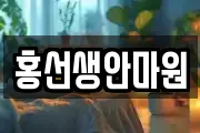 홍선생안마원