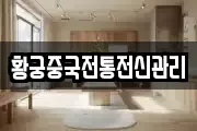황궁중국전통전신관리