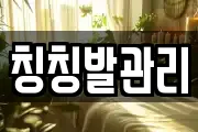 칭칭발관리