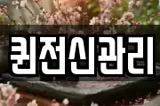 퀸전신관리