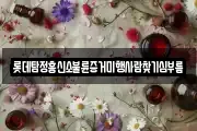 롯데탐정흥신소불륜증거미행사람찾기심부름