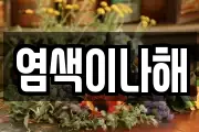 염색이나해