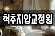 척추지압교정원