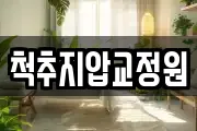 척추지압교정원