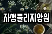 자생물리지압원