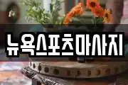 뉴욕스포츠마사지