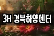 3H 경북하양센터